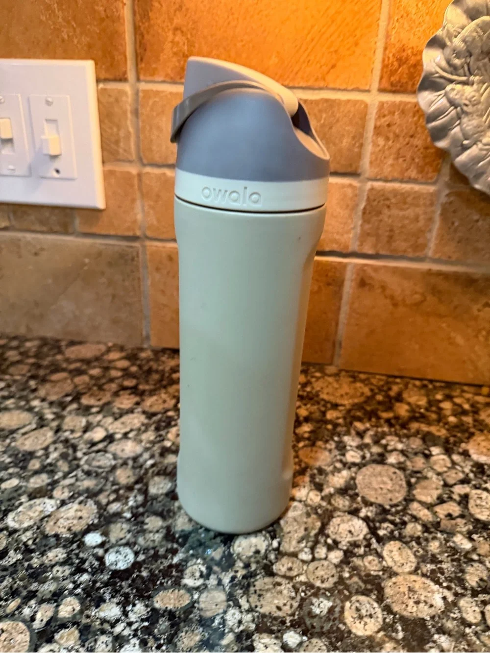 Owala Sage Green Stainless Steel Water Bottle with Gray Flip Lid